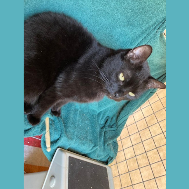 Photo of Luca & Smudge