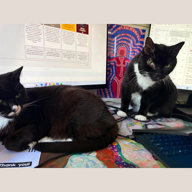 Photo of Hershey & Kiss