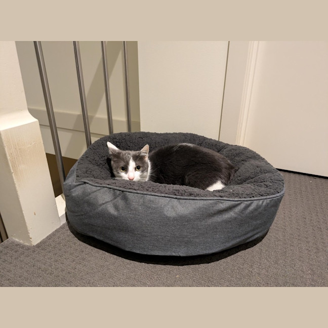 Photo of Max Illingworth