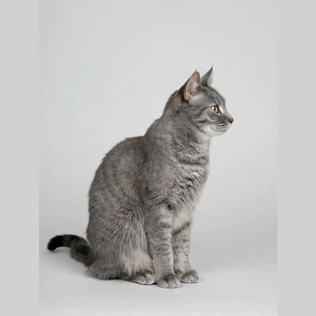 Photo of Tammy