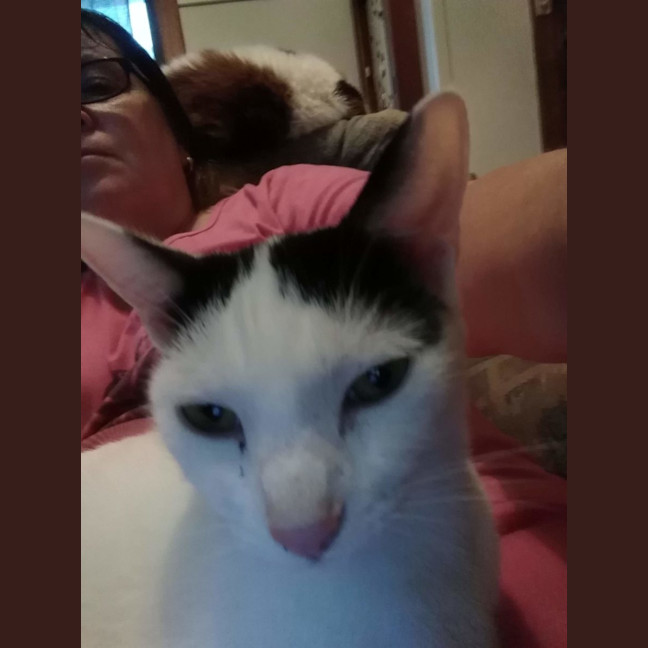 Photo of Lucky