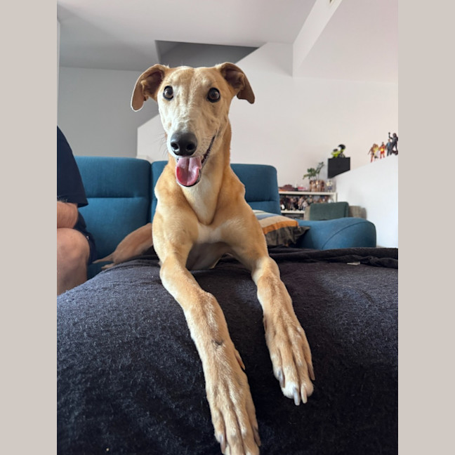 Photo of Sandy