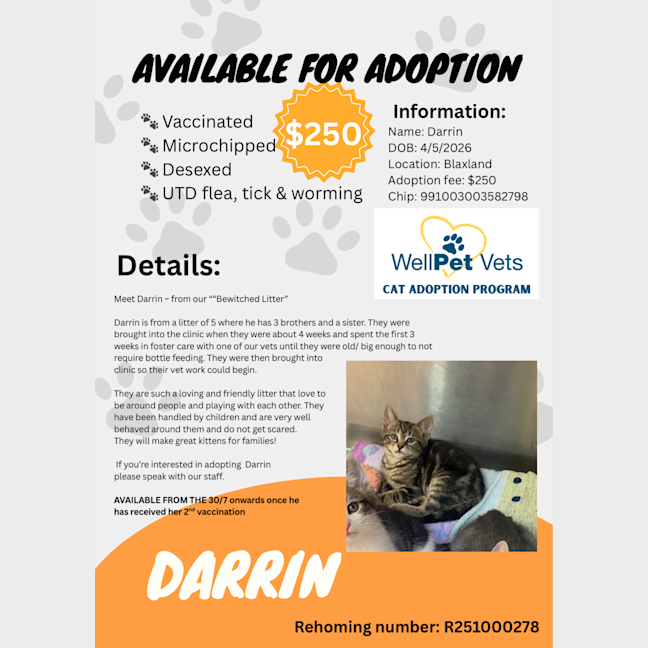 Photo of Darrin