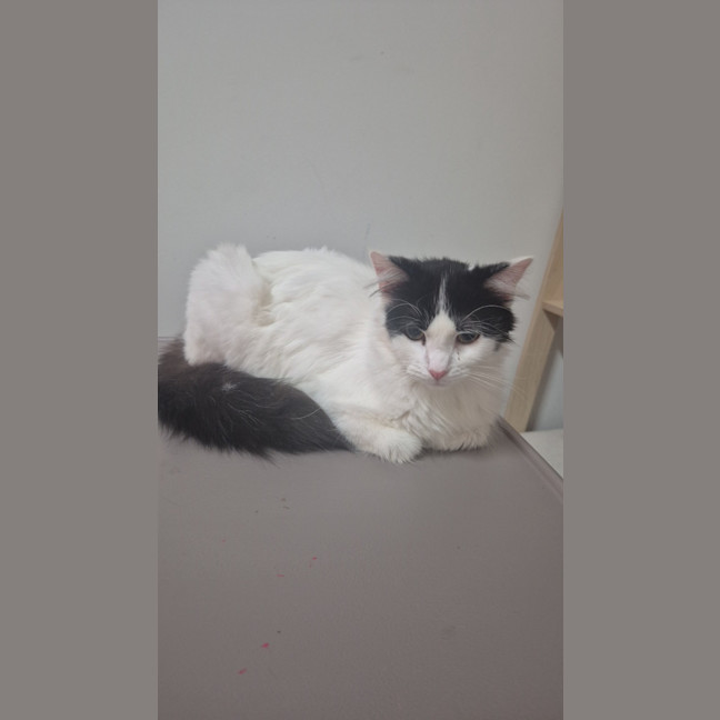 Photo of Daphne 