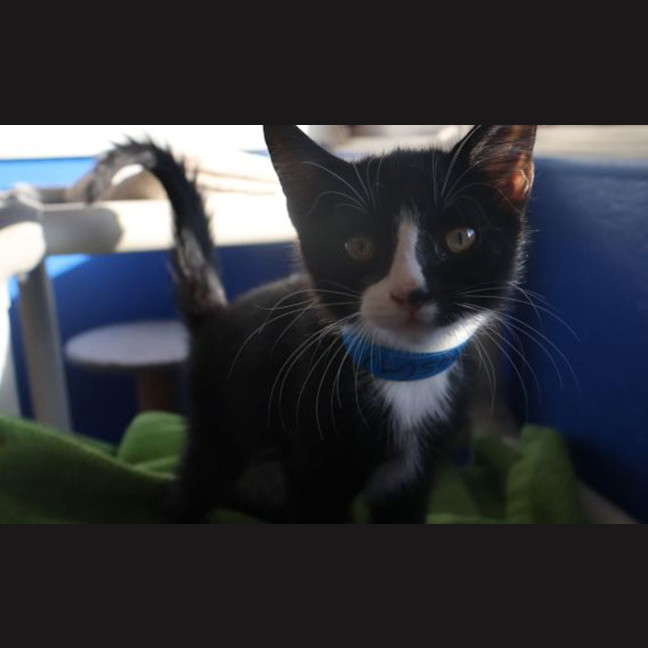 Photo of Casper The Baby