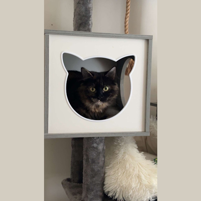 Photo of Hazel
