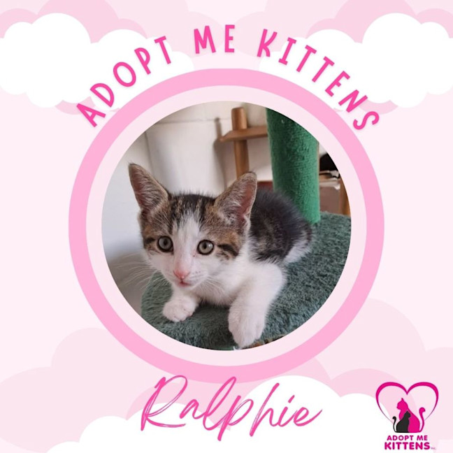 Photo of Ralphie