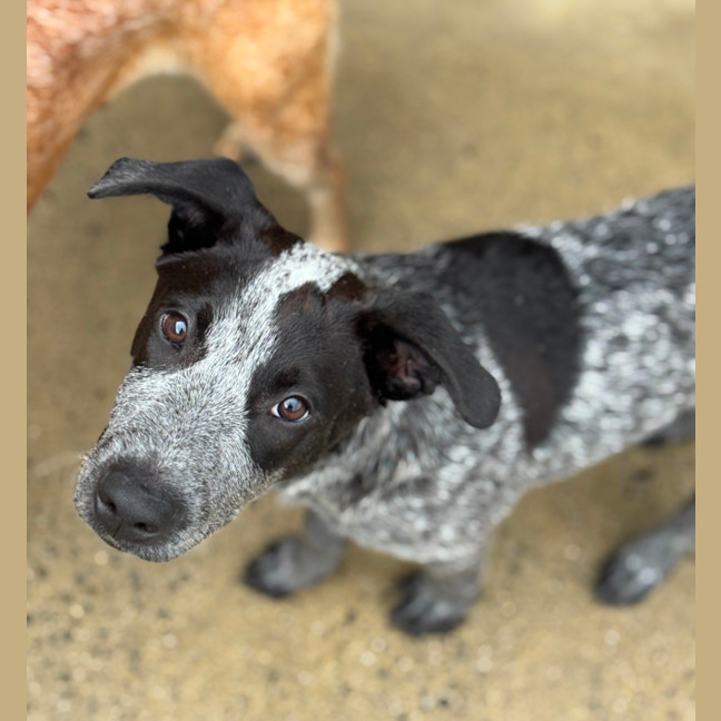 Photo of D1216 Panda