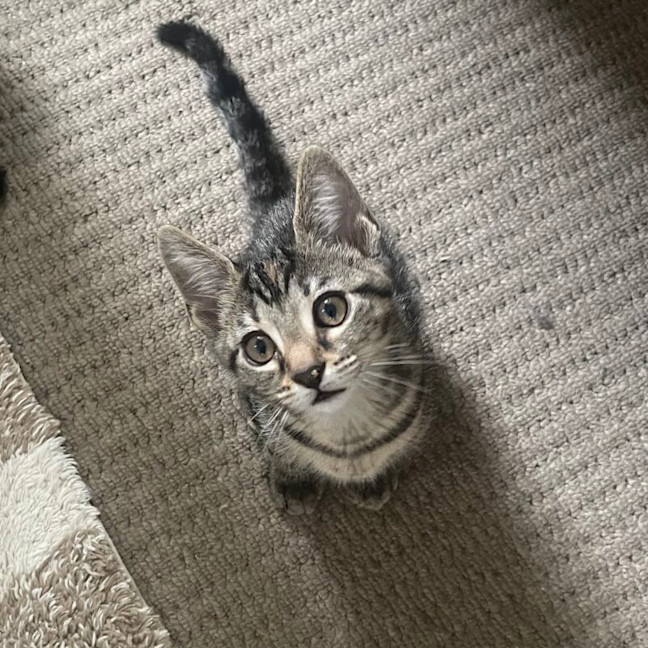 Photo of Cleo