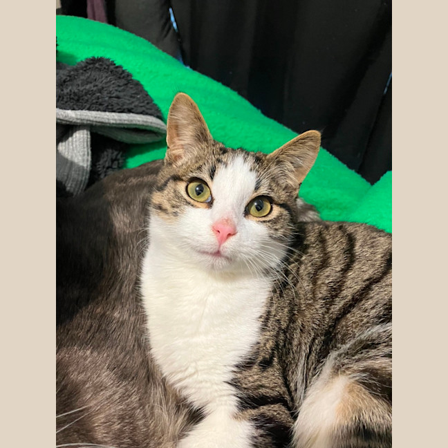 Photo of Big Ted & Little Roger