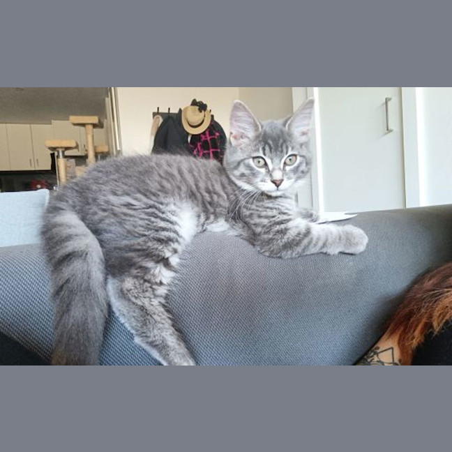 Photo of Hugo