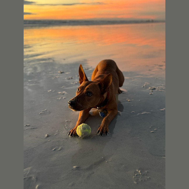 Photo of Tilly