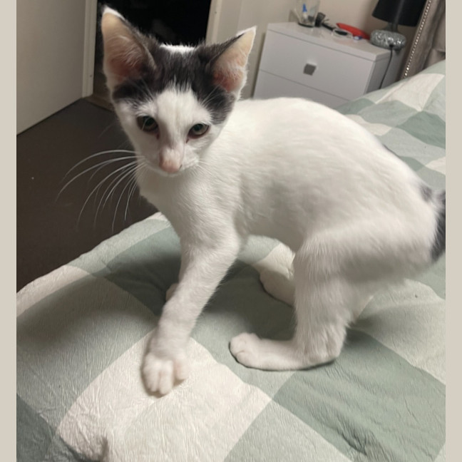 Photo of Bonny