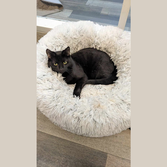 Photo of Milo   Malvern 