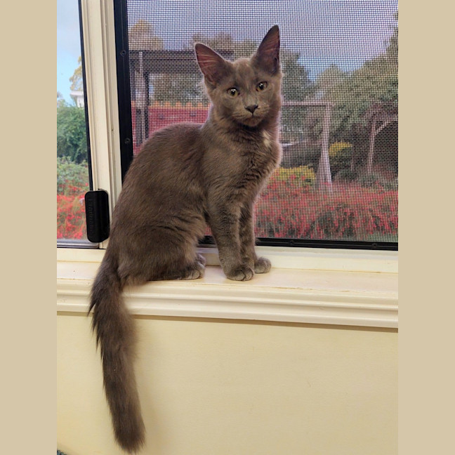 Photo of Dolly Purrton