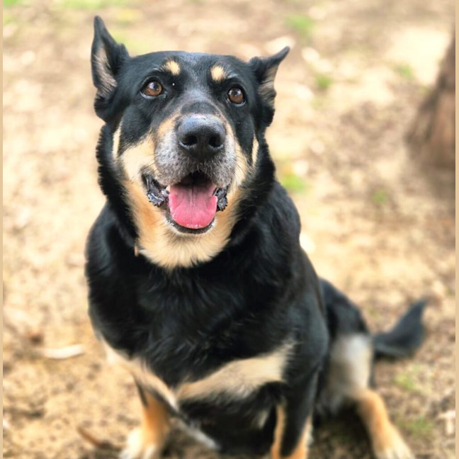 Photo of Roxy