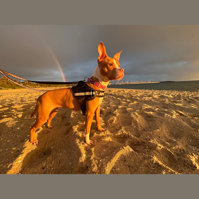 Photo of Soleil