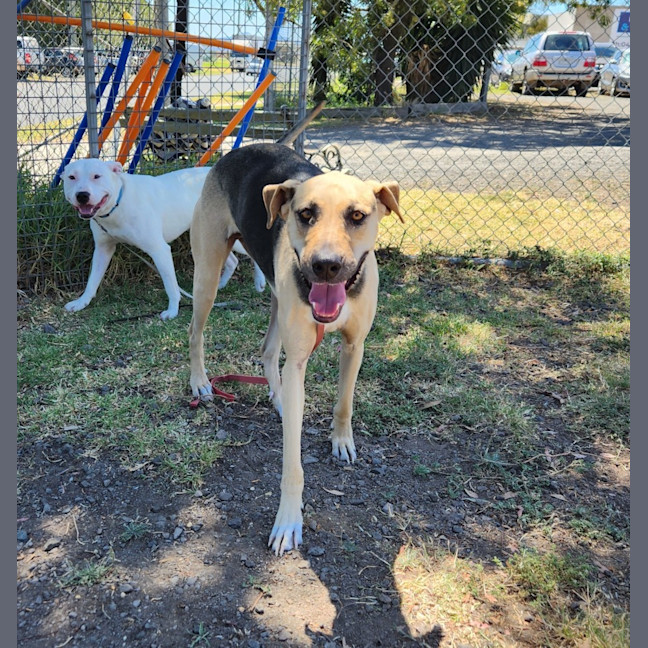 Photo of Nami (65216)