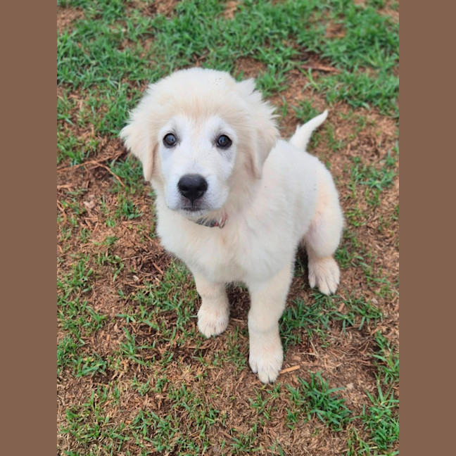 Photo of Bam Bam