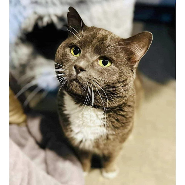 Photo of 11187   Boris