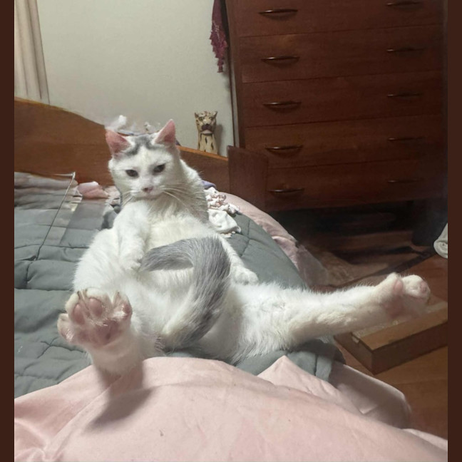 Photo of Nora   In Foster Care In Fawkner