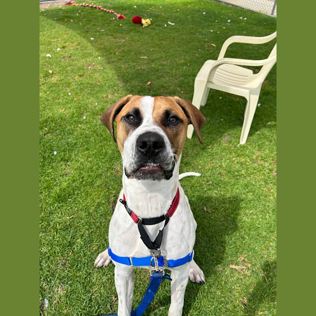 Photo of Axel