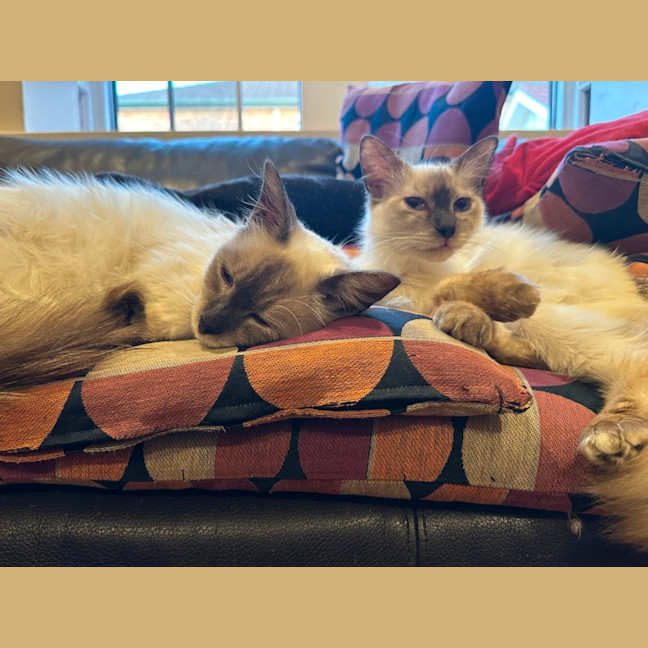 Photo of Sid And Nancy