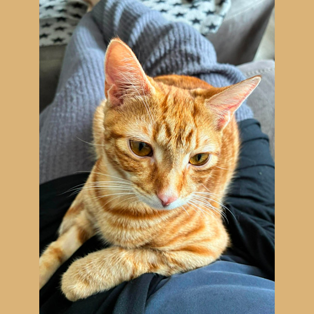Photo of Ron