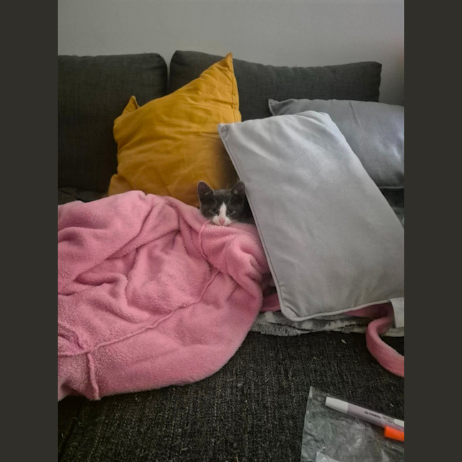Photo of 26 C02