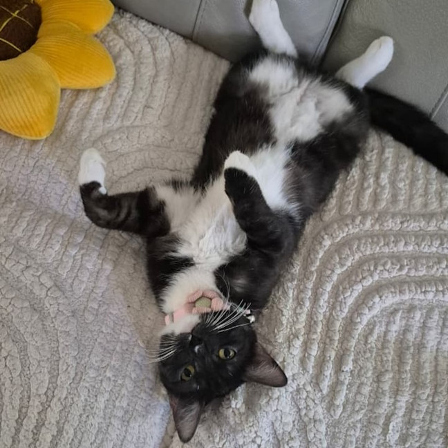 Photo of Yuki