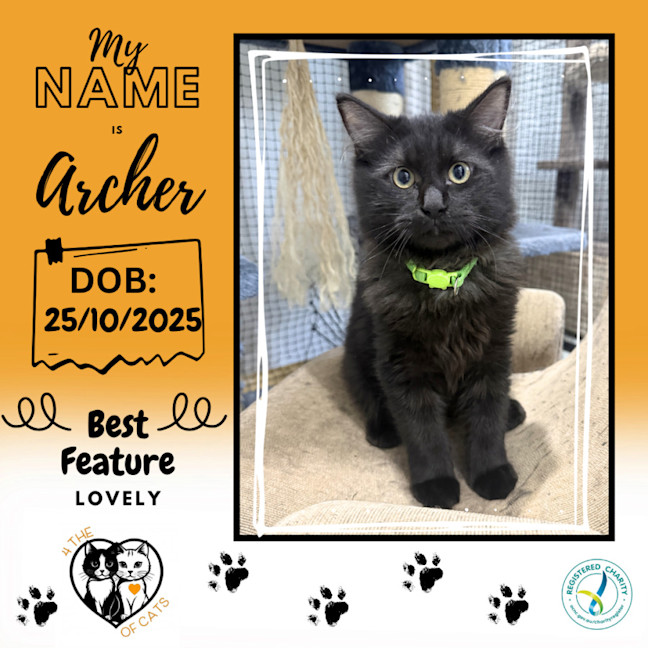 Photo of Archer