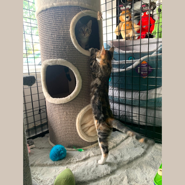 Photo of Wanda