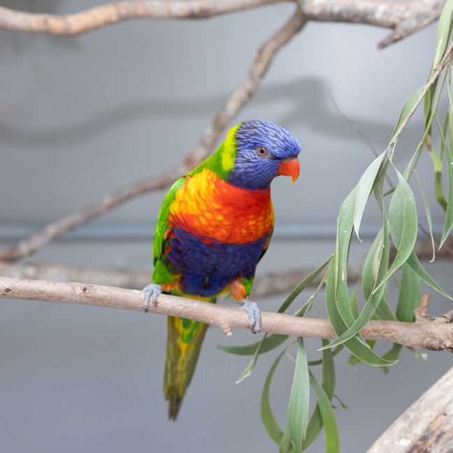 Photo of Lorri