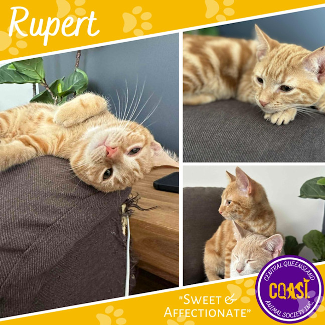 Photo of Rupert