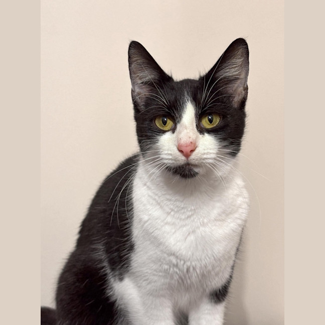 Photo of Delilah