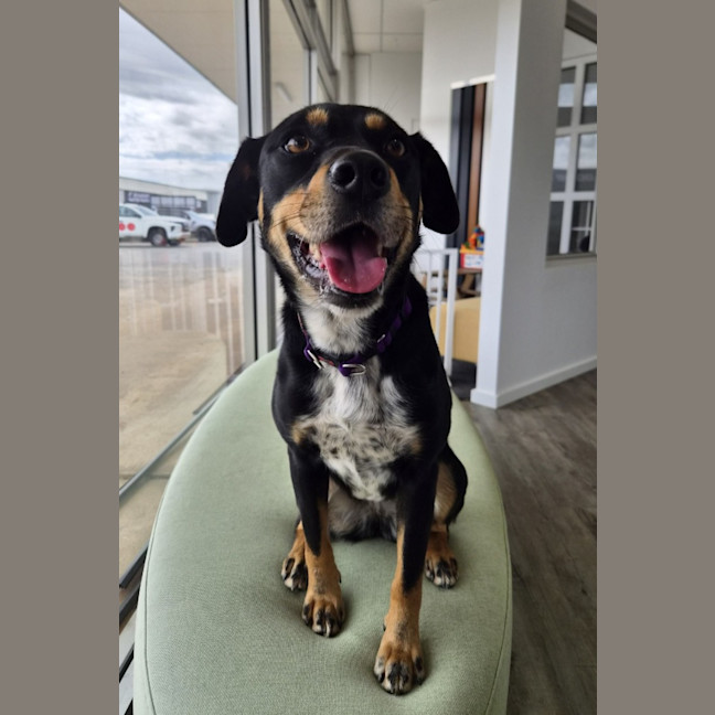 Photo of Kenai