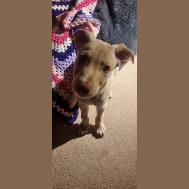 Photo of Bubble