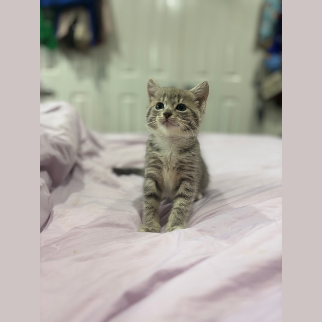 Photo of Winny