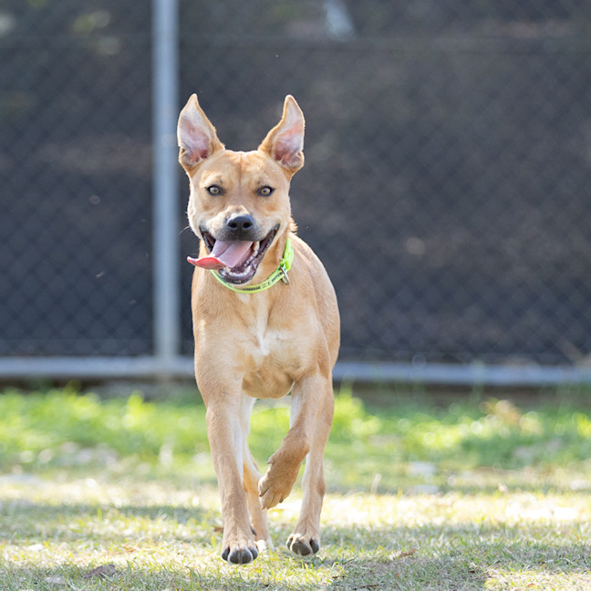 Photo of Sugar