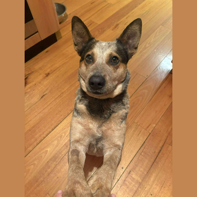 Photo of Shelly