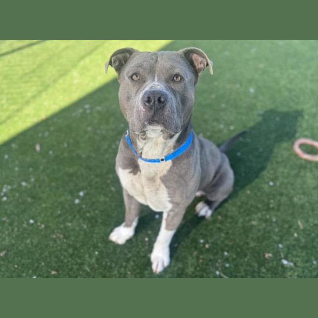 Photo of Kratos Imp 2177