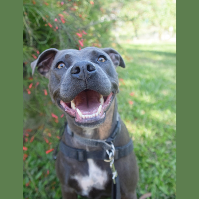 Photo of Roxy