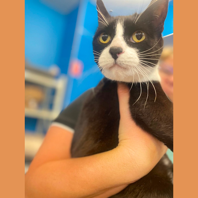Photo of Tom