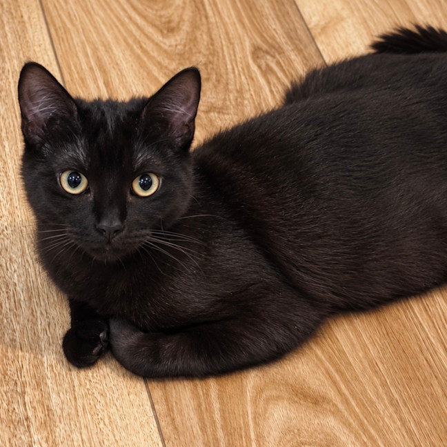 Photo of Sabrina