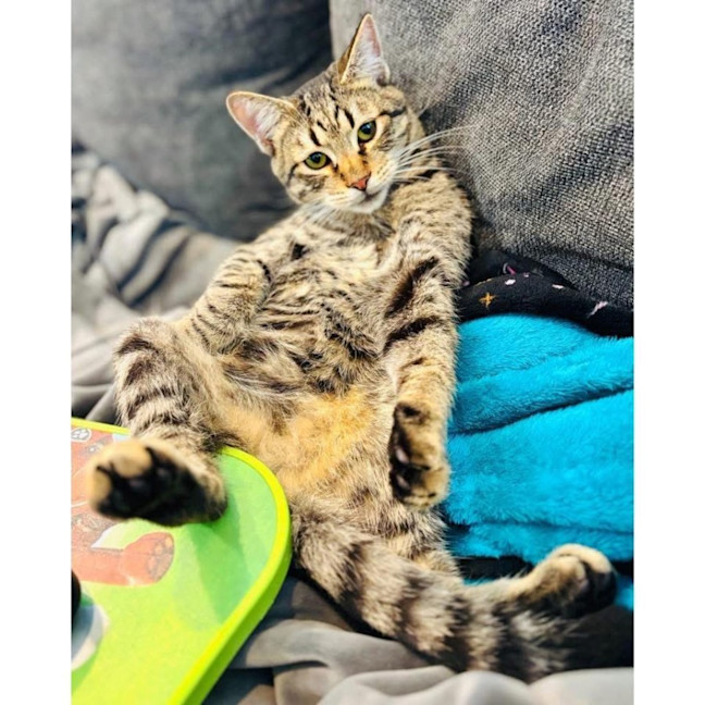 Photo of 11963   Travis