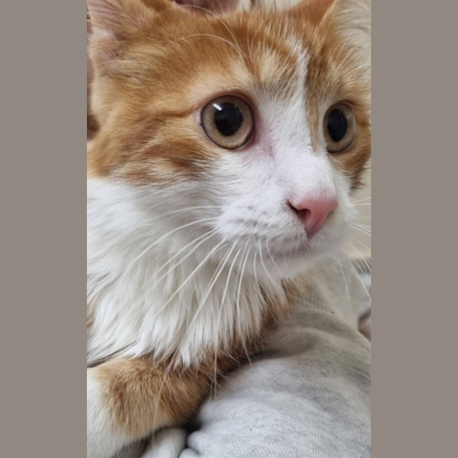 Photo of Maxwell