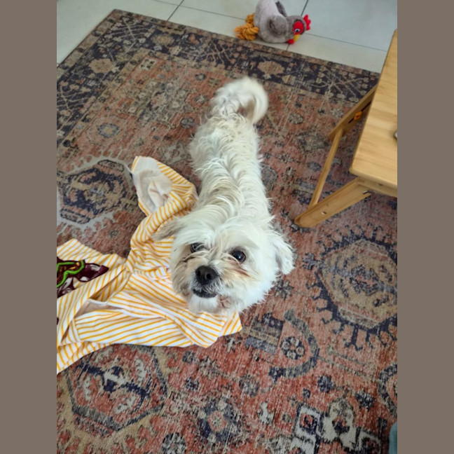 Photo of Nellie