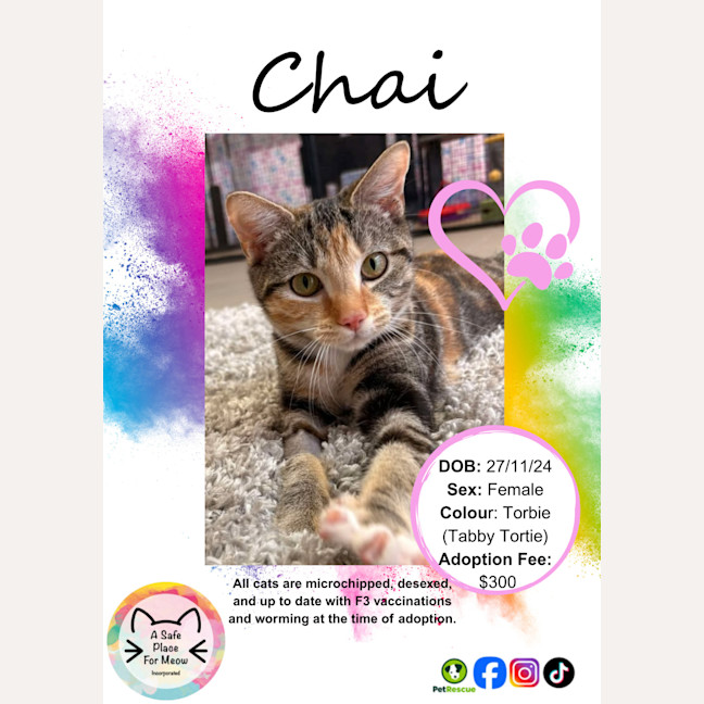 Photo of Chai