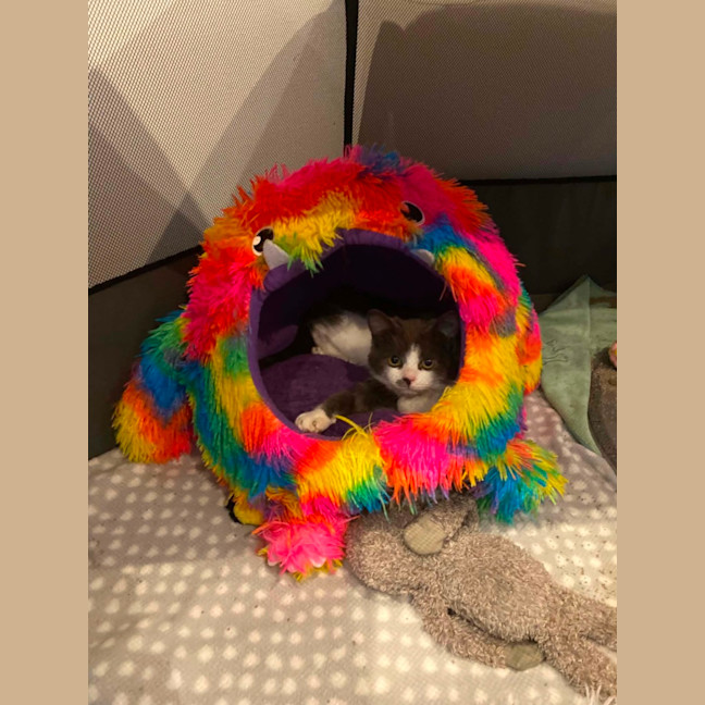 Photo of Bonnie
