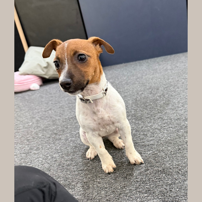 Photo of Molly Mae